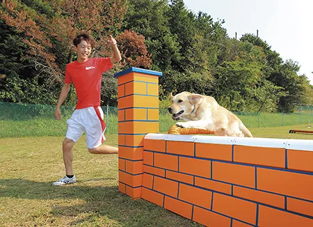 取得可能な関連資格は・・・