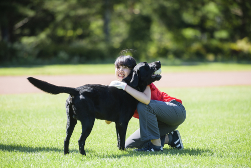 東京愛犬専門学校