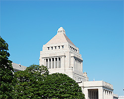 総合政策学系学部