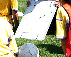 体育学・スポーツ学・スポーツ経営学