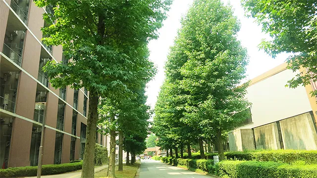 学校を調べよう