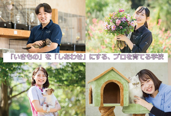 専門学校ちば愛犬動物フラワー学園イメージ画像