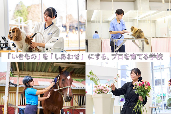 専門学校ちば愛犬動物フラワー学園イメージ画像