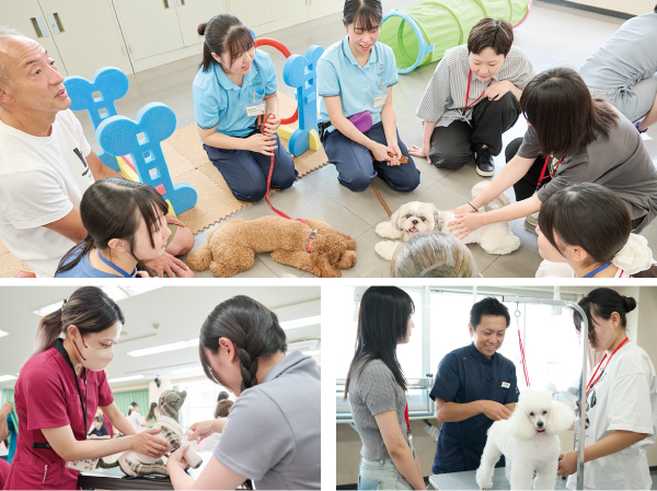 学科別体験入学