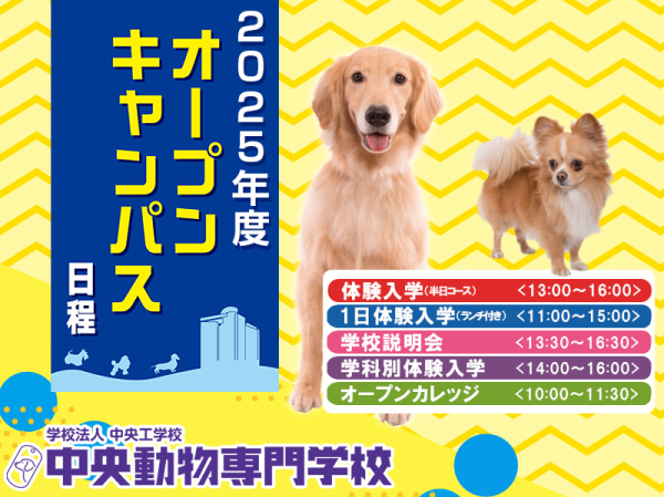 中央動物専門学校イメージ画像