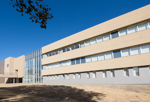 キャンパスの画像