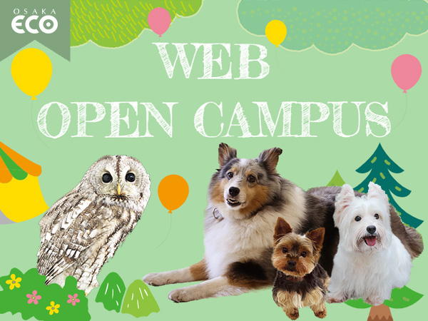 大阪ECO動物海洋専門学校のWEBオープンキャンパスをチェック